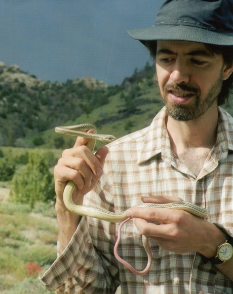 with striped whipsnake, Deep Creek Mtns