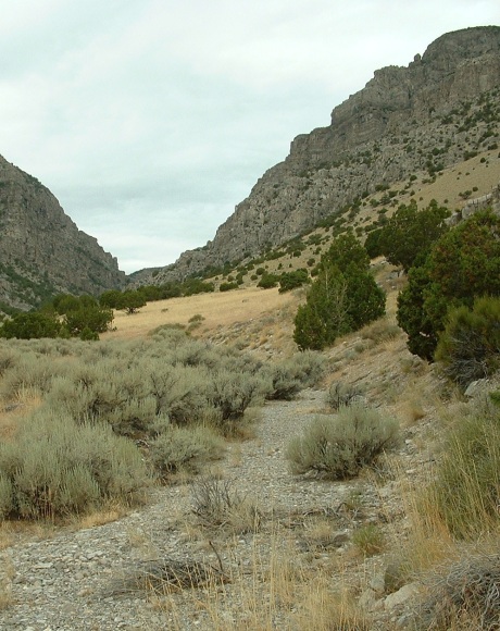 late July 2013, utah mountain kingsnake habitat (a), Confusions